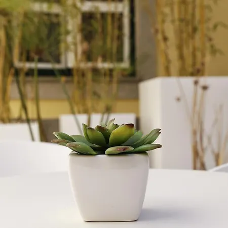 Otel Salinas By Alboi Group 3*