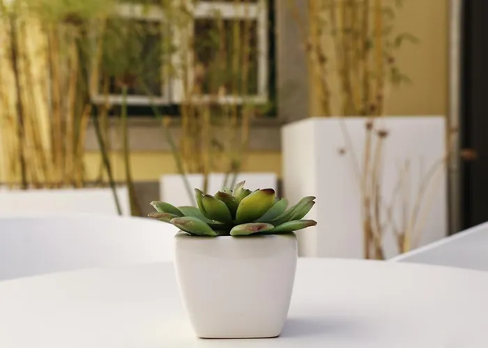 Otel Salinas By Alboi Group 3*